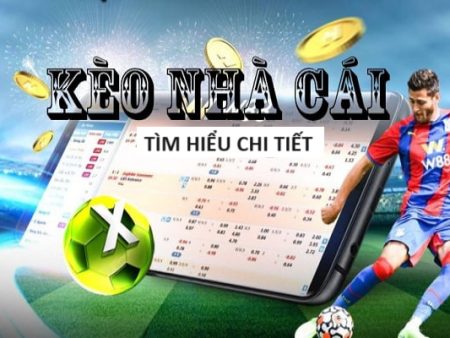 Cá Cược Champions League Chuyên Nghiệp – Dịch Vụ VIP