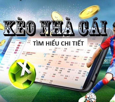 Cá Cược Champions League Chuyên Nghiệp – Dịch Vụ VIP