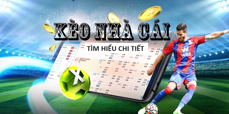 Cá Cược Champions League Chuyên Nghiệp - Dịch Vụ VIP